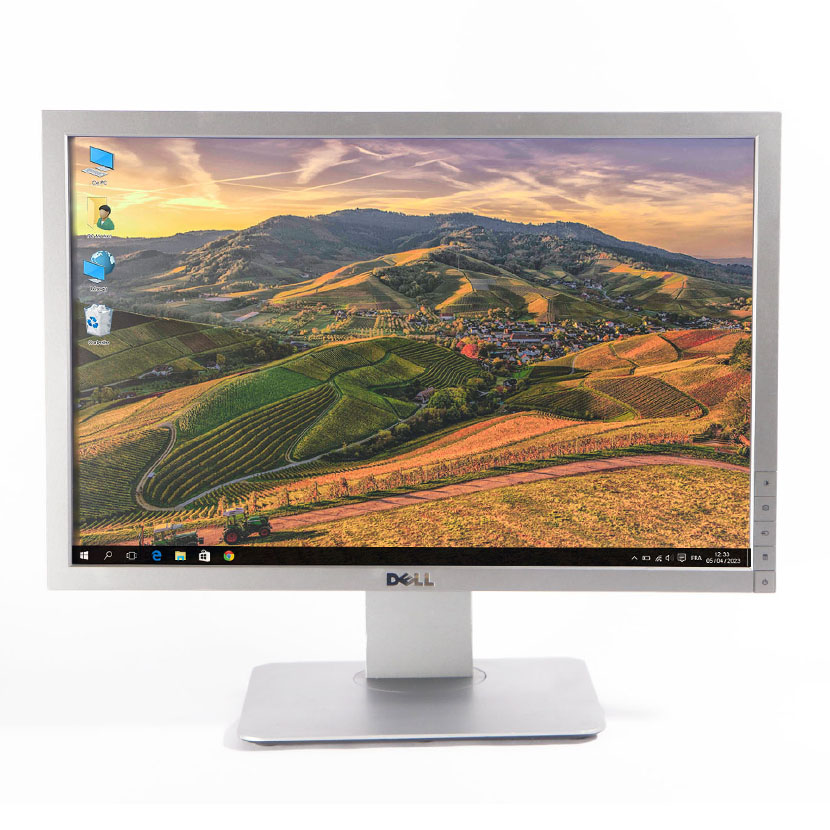 Dell 1909Wf 19" Rectangle LCD